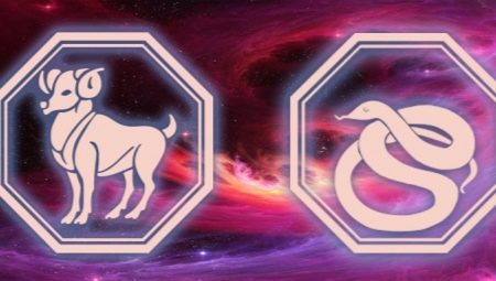 Πλήρη χαρακτηριστικά του Aries-Snake