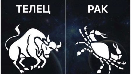 Cancer and Taurus: compatibility of zodiac signs in relationships and business