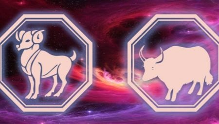 Characteristics of the personality of a Capricorn woman born in the year of the Ox