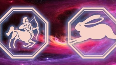 Characteristics of the Sagittarius man, born in the year of the Rabbit