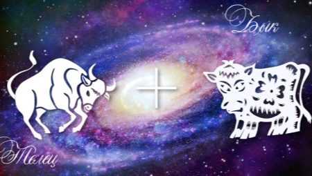 Taurus-Ox man traits