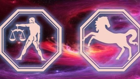 Aquarius-Horse man: features and character