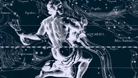 Aquarius-Rooster man: personality description and interaction features