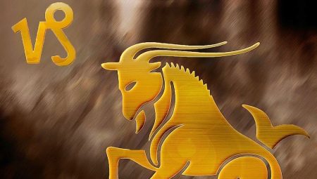 Capricorn compatibility with representatives of other zodiac signs