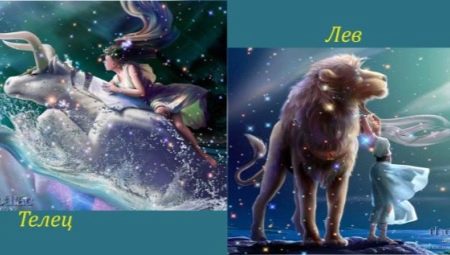 Taurus and Leo compatibility: friendly and loving relationships