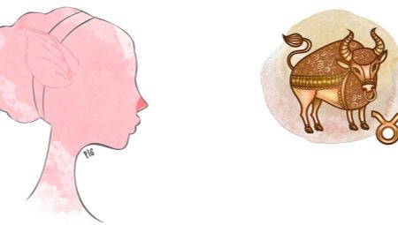 Taurus born in the year of the Pig: characteristics