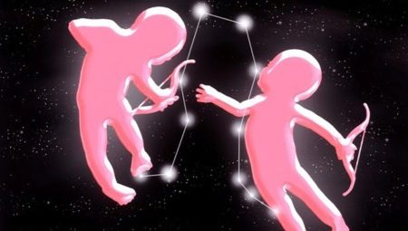 The nature and compatibility of the Gemini man, born in the year of the Ox