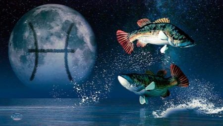 Characteristics and compatibility of Pisces born in the year of the Rat