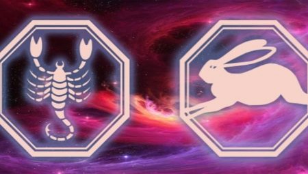 Characteristics of a Scorpio woman born in the Year of the Rabbit