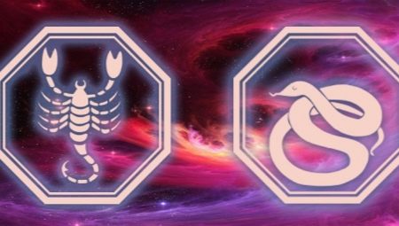 Characteristics of the Scorpio woman born in the Year of the Snake