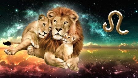Leo boy: character and parenting tips