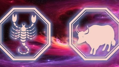 Scorpio Man, born in the Ox year: characteristics and compatibility