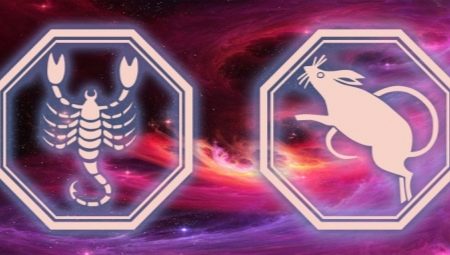 Scorpio Man, born in the Rat year: characteristics and compatibility