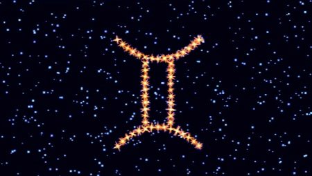 Gemini men, born in the year of the Snake: characteristics and compatibility