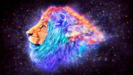 Main characteristics of the zodiac sign Leo