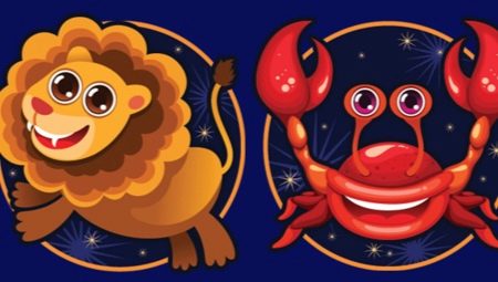 Cancer and Leo: characteristics of signs and compatibility in relationships