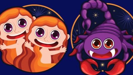 Gemini and Scorpio compatibility in various spheres of life