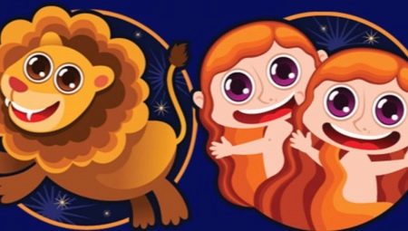 Compatibility of Lions and Gemini in personal relationships and at work