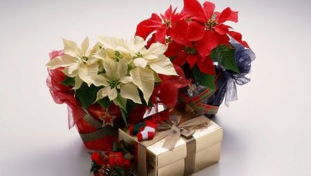 What to give a colleague for a wedding from the team?