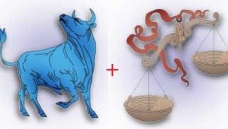 Characteristics of Libra women born in the Year of the Ox