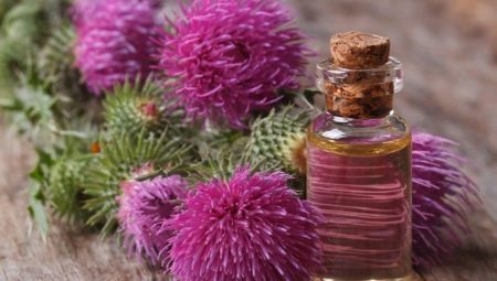 Properties and applications of burdock oil