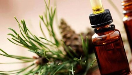 Pine essential oil: properties and methods of application