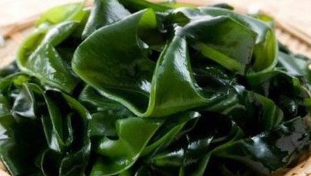 Kelp wrapping: benefits, harms and rules of conduct