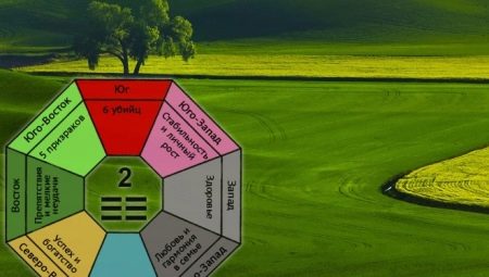 Gua number 2: description, favorable directions and calculation of compatibility