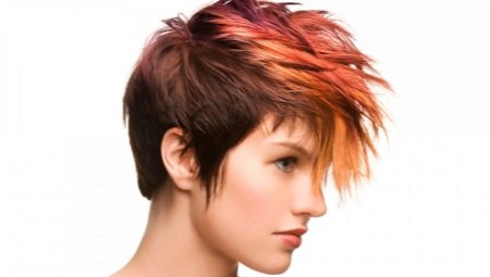 Gavroche haircut: features and varieties
