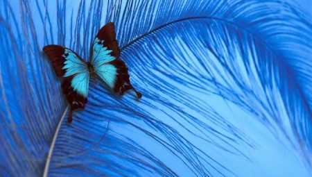 La couleur bleue en psychologie : qu'est-ce que cela signifie et symbolise ?