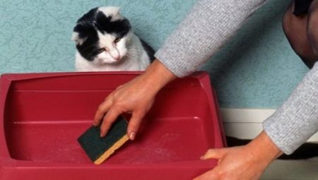What is the best way to wash a cat litter box so that there is no smell?