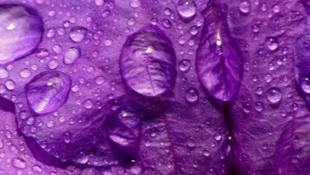 Que signifie le violet en psychologie ?