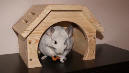 House for chinchilla: types and manufacturing methods