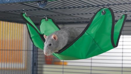 Rat hammock: how to choose, do it yourself and equip?
