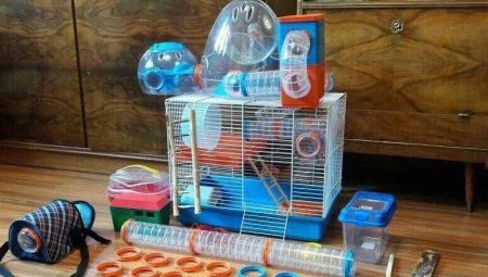 Hamster toys: selection and making