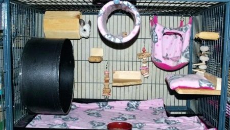 Chinchilla toys: requirements, tips for choosing and making