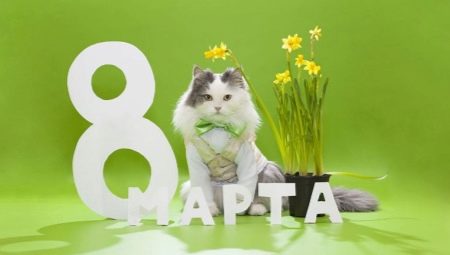 How to make a gift for March 8 with your own hands?