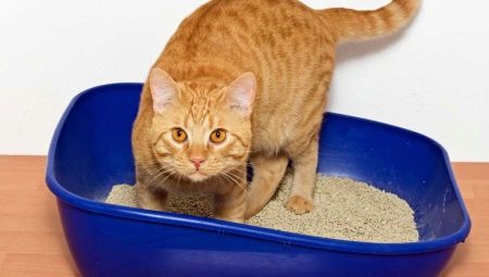 How to choose clumping litter for cat litter?