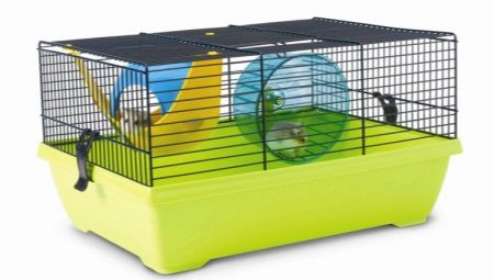 Cages for Dzungarian hamsters: what are they and how to clean them?