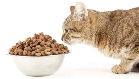 Food for neutered cats and neutered cats