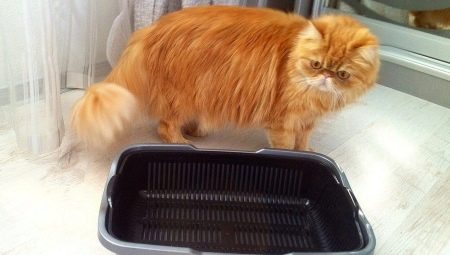High sided trays for cats