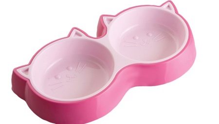 Bowls for cats: description of species, best models and features of choice
