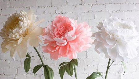 Growth flowers: types, materials and production