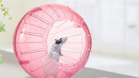 Hamster ball: requirements and features of choice