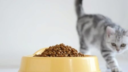 Comparison of dry cat food
