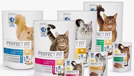 Super premium dry food for cats