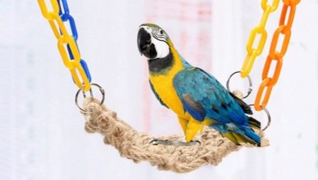 Types and selection of parrot toys
