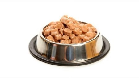 Wet food for cats: ingredients, brands, selection, feeding regimen
