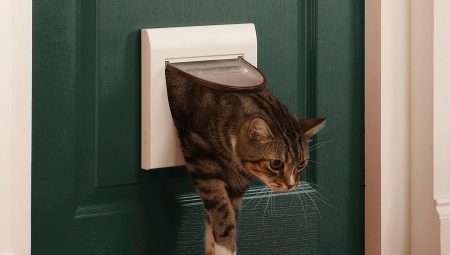 Choosing a cat toilet door