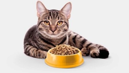 Grain Free Cat Food